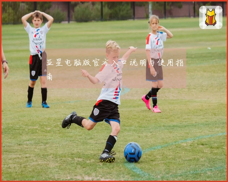 亚星电脑版官方入口说明与使用指南